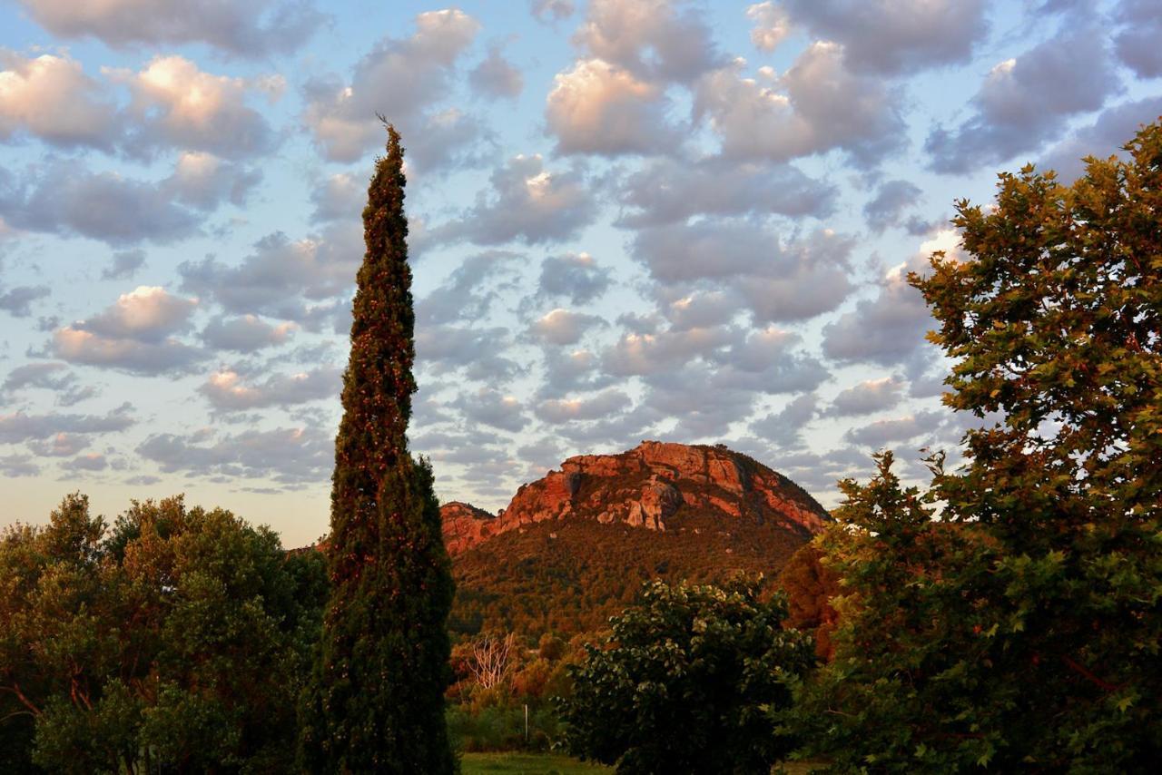 L'Albaida, Tranquility, Views Of Sea And Mountains Apartment Vilanova de Escornalbou ภายนอก รูปภาพ