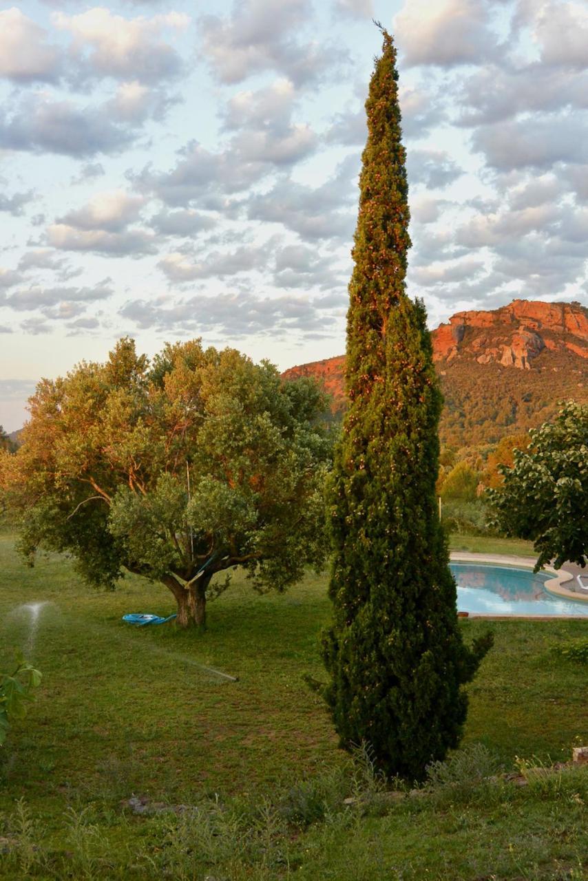 L'Albaida, Tranquility, Views Of Sea And Mountains Apartment Vilanova de Escornalbou ภายนอก รูปภาพ