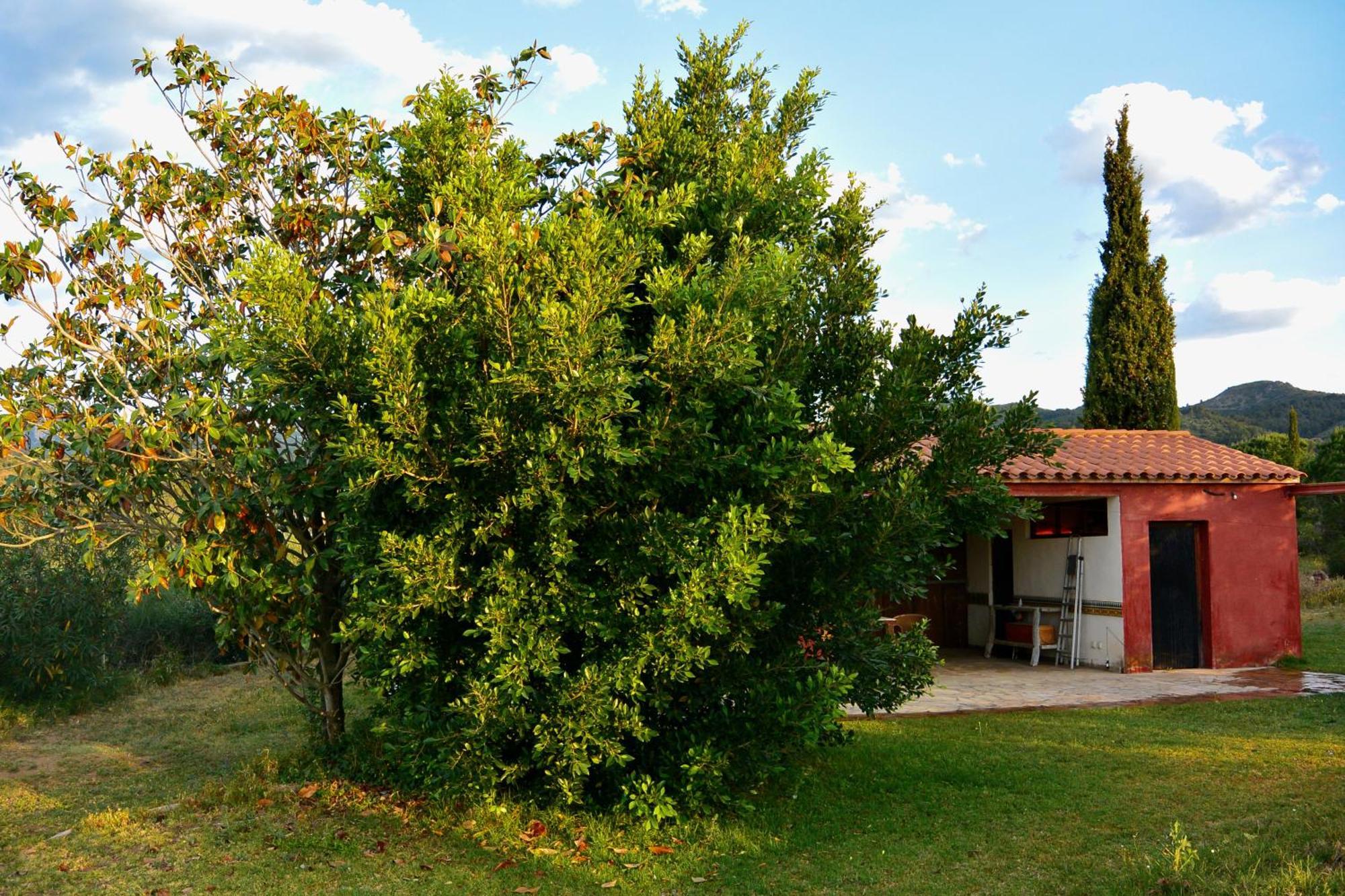 L'Albaida, Tranquility, Views Of Sea And Mountains Apartment Vilanova de Escornalbou ห้อง รูปภาพ