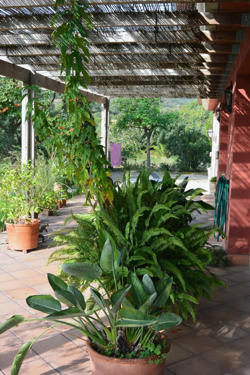 L'Albaida, Tranquility, Views Of Sea And Mountains Apartment Vilanova de Escornalbou ภายนอก รูปภาพ