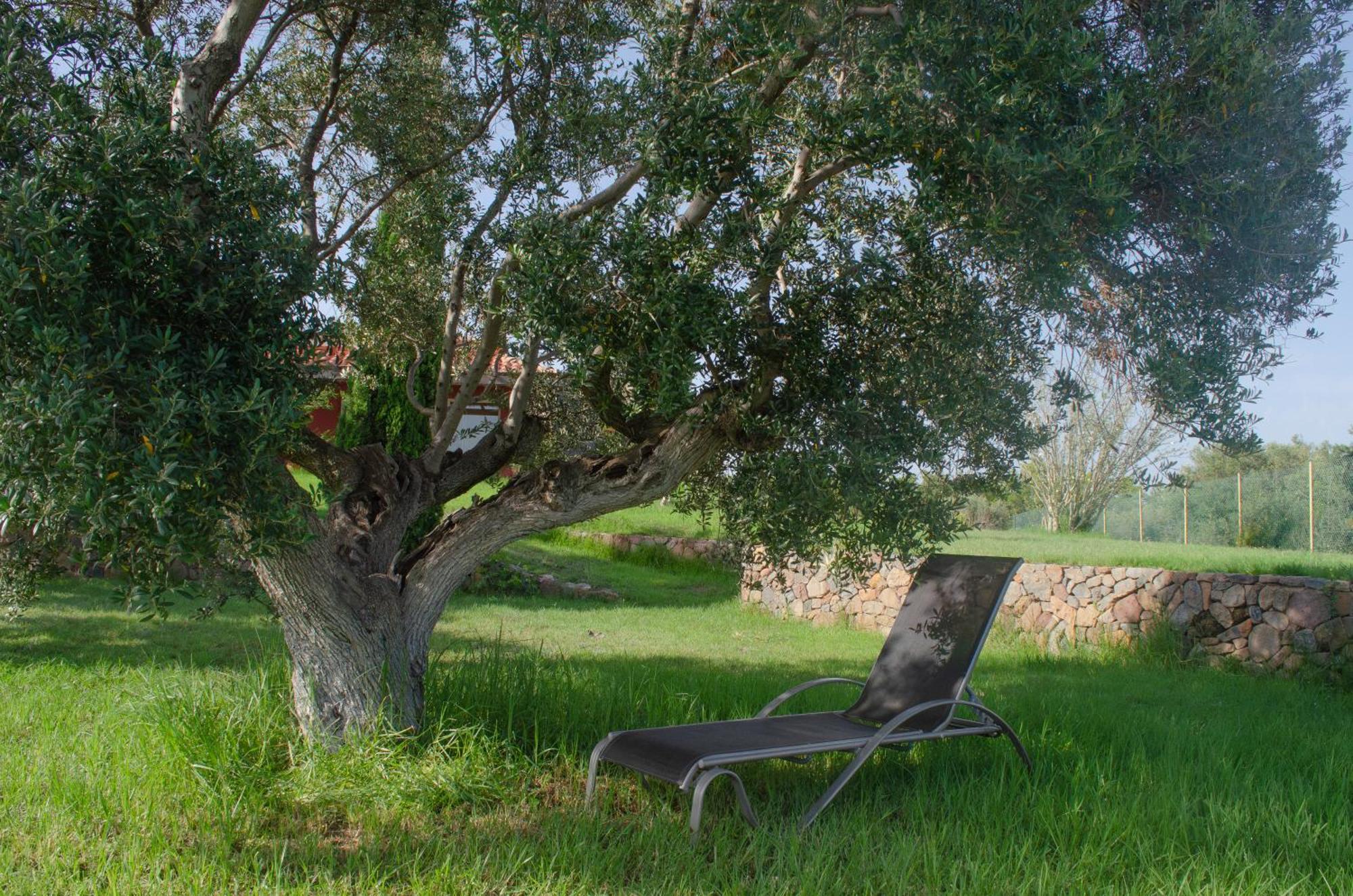 L'Albaida, Tranquility, Views Of Sea And Mountains Apartment Vilanova de Escornalbou ภายนอก รูปภาพ